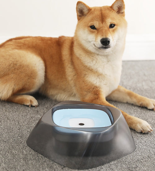 AquaShield No-Spill Pet Bowl