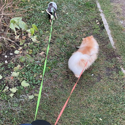 Retractable Dog Leash For Dog
