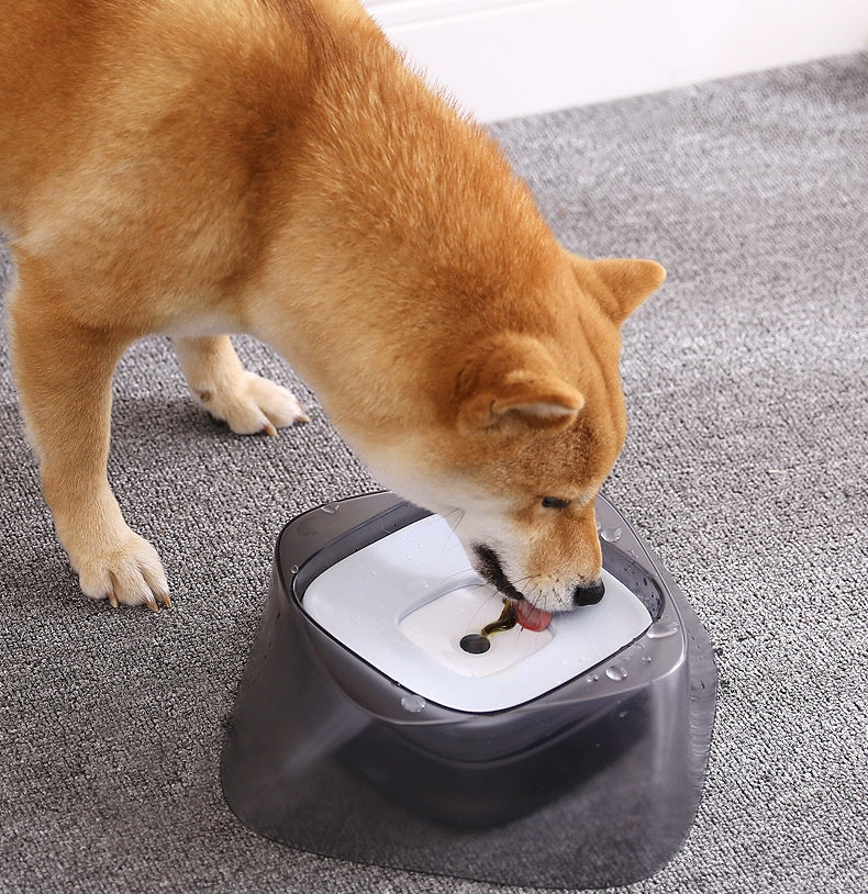 AquaShield No-Spill Pet Bowl
